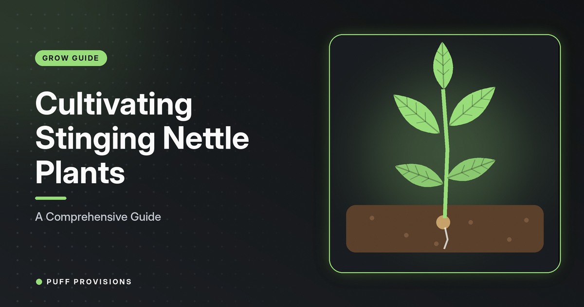 Cultivating Stinging Nettle Plants: A Comprehensive Guide