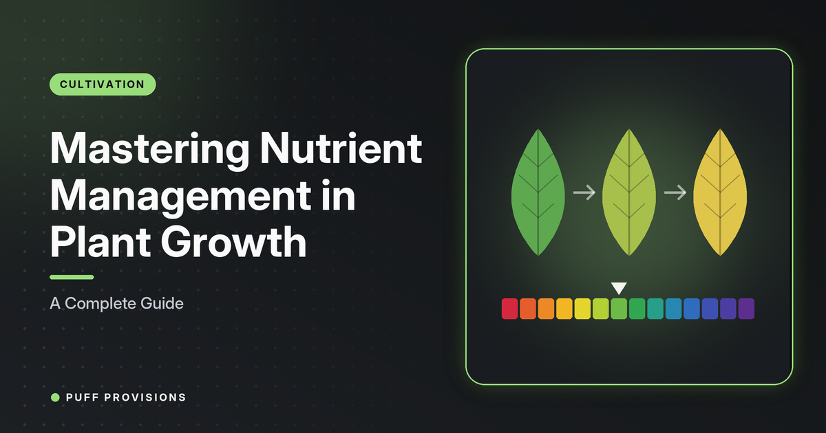 Mastering Nutrient Management in Plant Growth: A Complete Guide