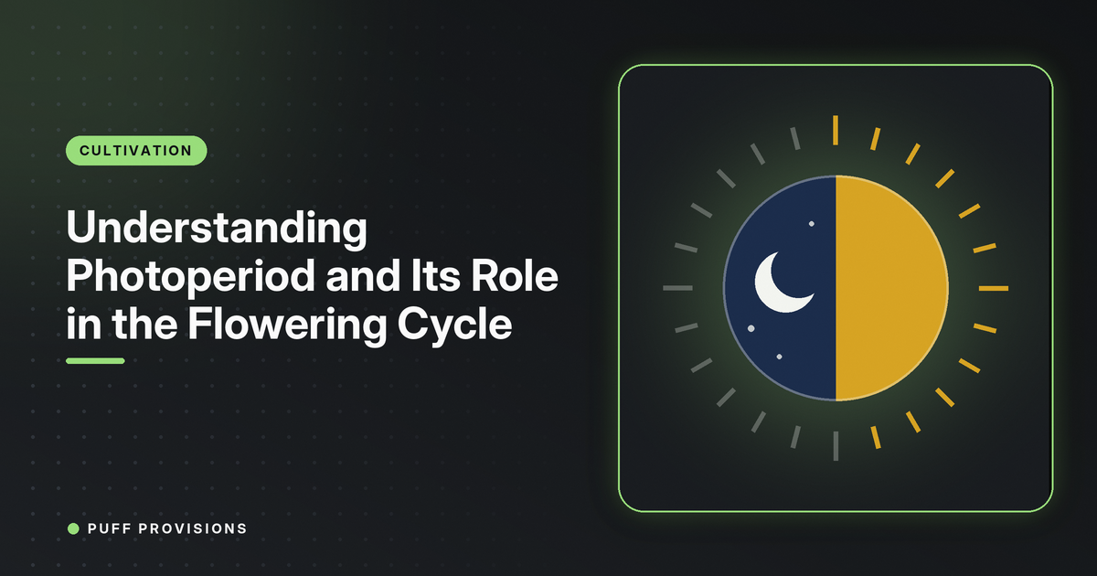 Understanding Photoperiod and Its Role in the Flowering Cycle