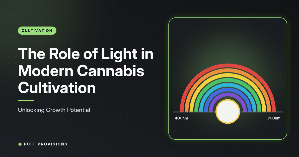 The Role of Light in Modern Cannabis Cultivation: Unlocking Growth Potential